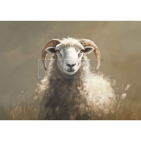 A3 Decoupage Fiber – Hillside Grazing