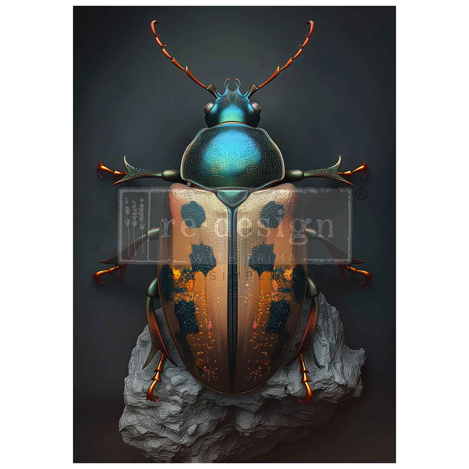 A1 DECOUPAGE FIBER – BRASSSCARAB