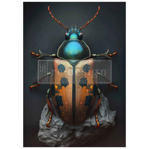 A1 DECOUPAGE FIBER – BRASSSCARAB