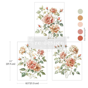 Middy Transfers – Gentle Symphony