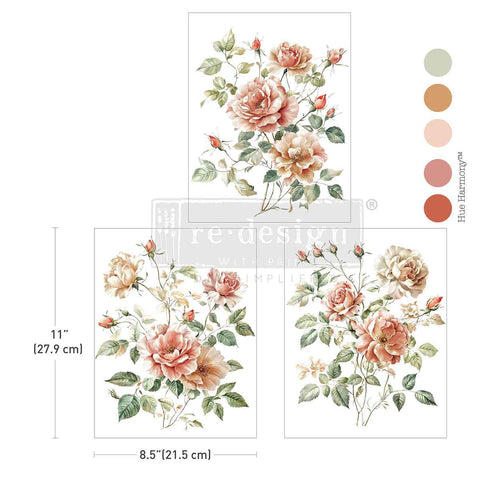 Middy Transfers – Gentle Symphony