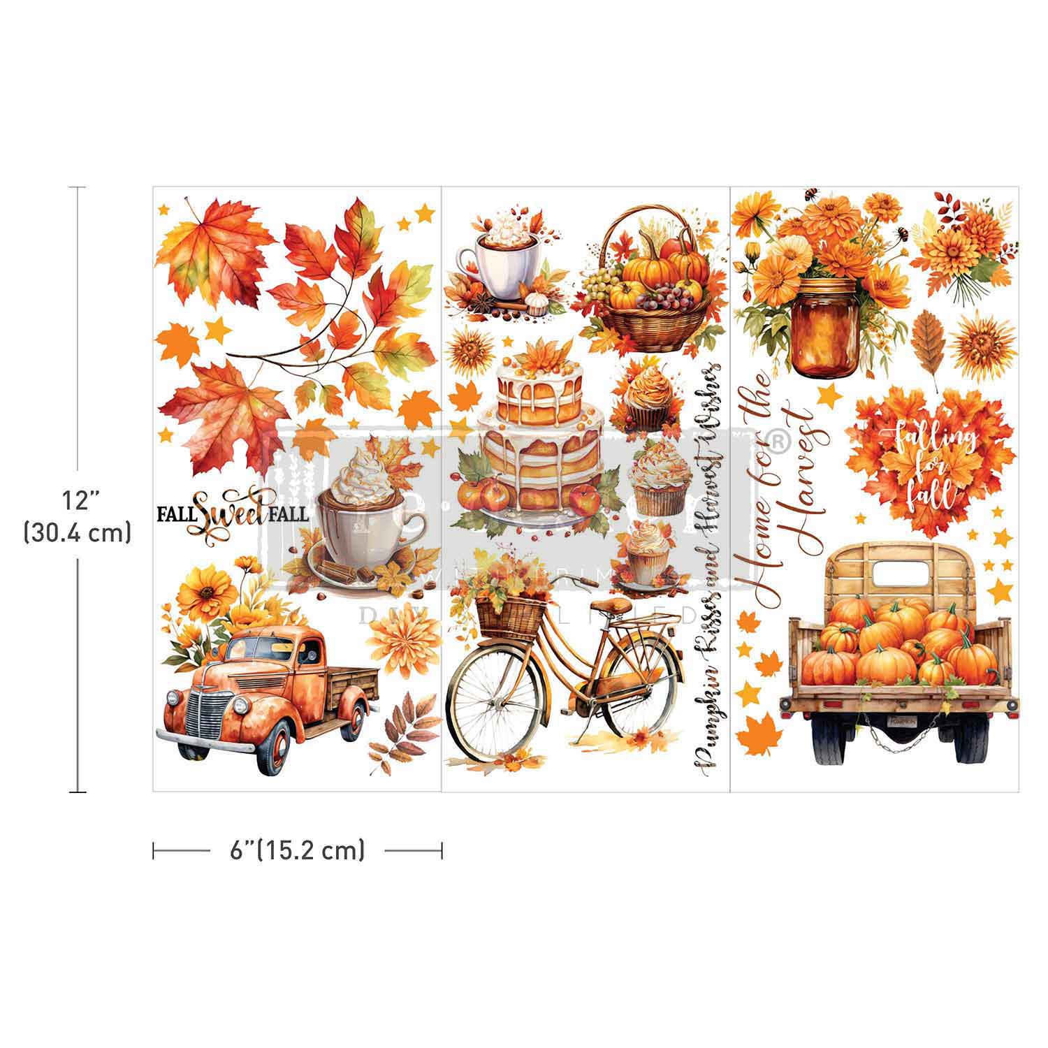 SMALL TRANSFERS – AUTUMN SPLENDOR