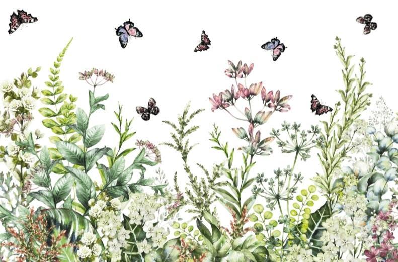 Marvelous Gardens Hokus Pokus transfer