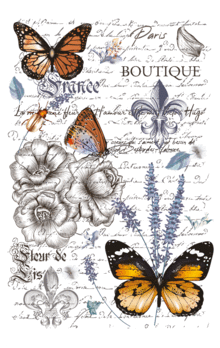 Papillion Hokus Pokus transfer