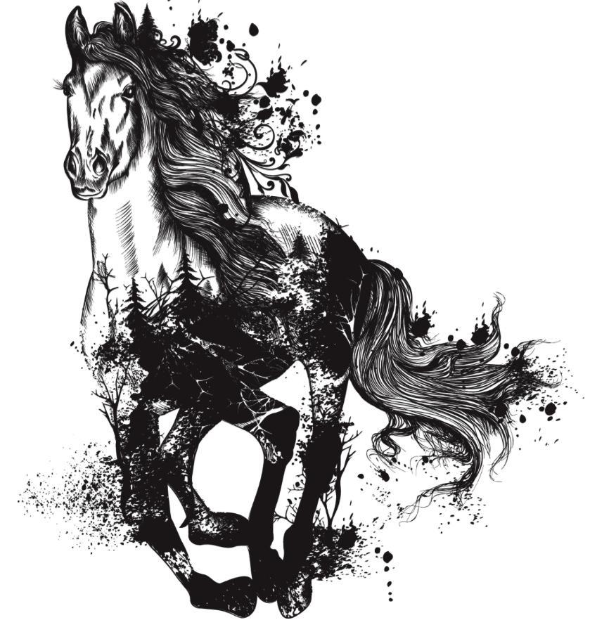 Majestic Horse Charcoal  Hokus Pokus transfer
