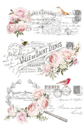 Ville De Saint Hokus Pokus transfer