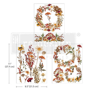 DECOR TRANSFERS® 8.5×11 – DRIED WILDFLOWERS