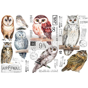 DECOR TRANSFERS® – OWL – 3 SHEETS, 6″X12″