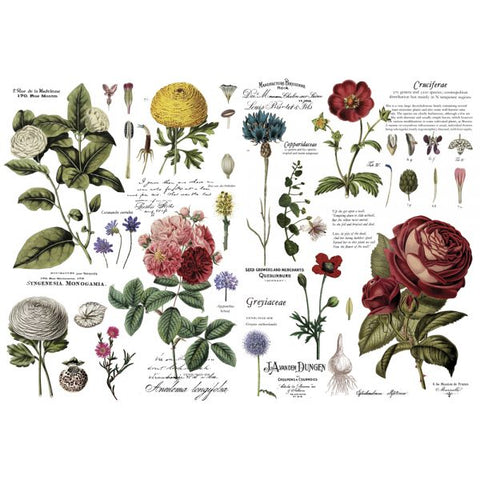 Vintage Botanical Redesign with Prima transfer